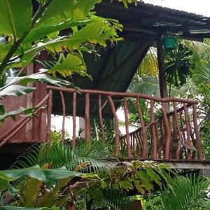  Agroturismo Sigiri Panaromic Tree House Sri Lanka