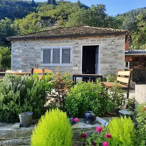 Bujtina Lugina E Vjoses Lodge Përmet